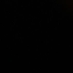 Meet your Posher, Gabriela